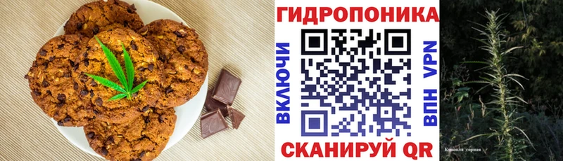 Cannafood конопля  Новомосковск 