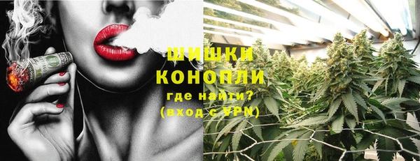 mdpv Новодвинск