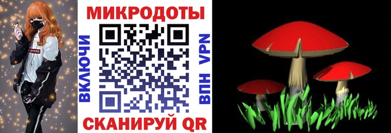 нарко площадка как зайти  Новомосковск  Галлюциногенные грибы мухоморы 